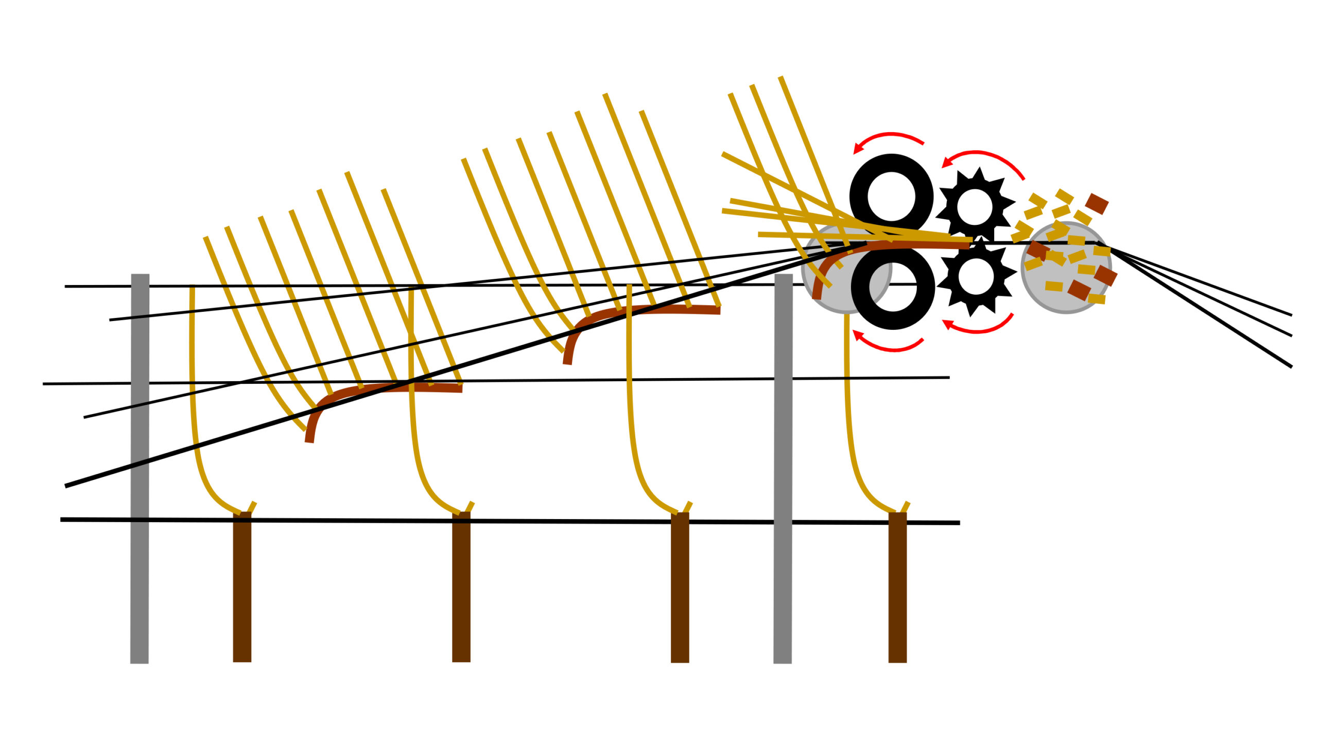 Funktionsweise ERO Viteo Cane Pruner